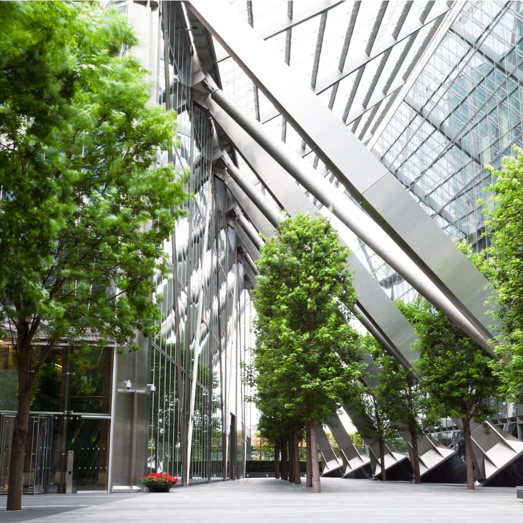 Modern Geometric Office Entrance with Trees